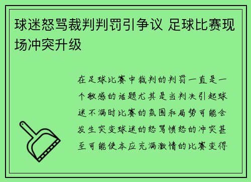 球迷怒骂裁判判罚引争议 足球比赛现场冲突升级
