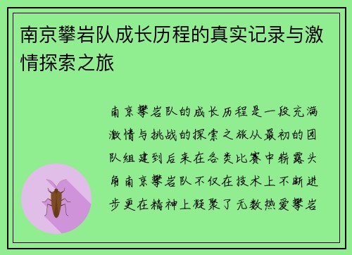 南京攀岩队成长历程的真实记录与激情探索之旅
